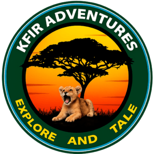 KFIR LOGO